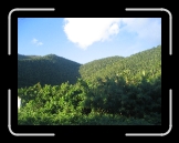 Tortola 088 * 2592 x 1944 * (2.3MB)